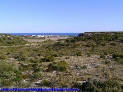 Blick auf den Ferienort Narbonne-Plage